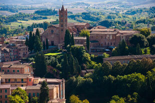 Blick auf Siena