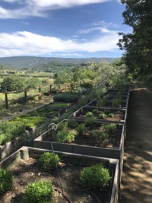 Garten des Weinguts Domaine de la Citadelle