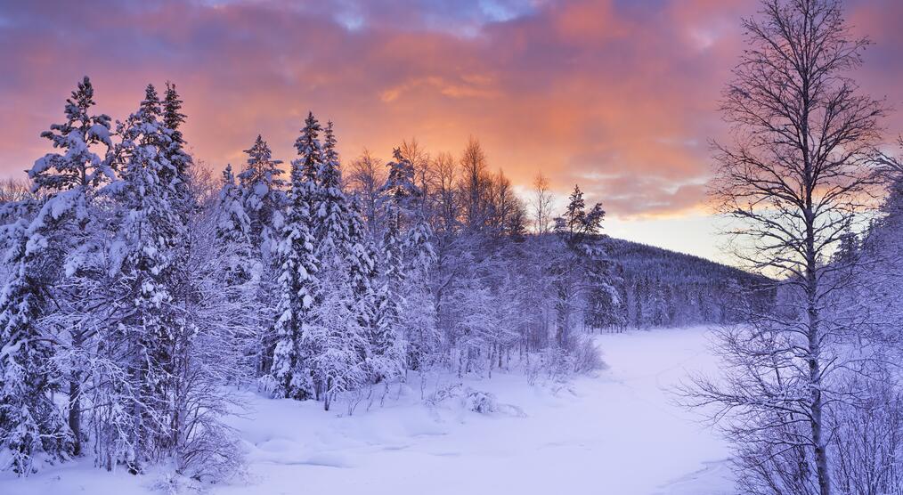 Levis Winterlandschaft