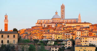 Blick auf Siena