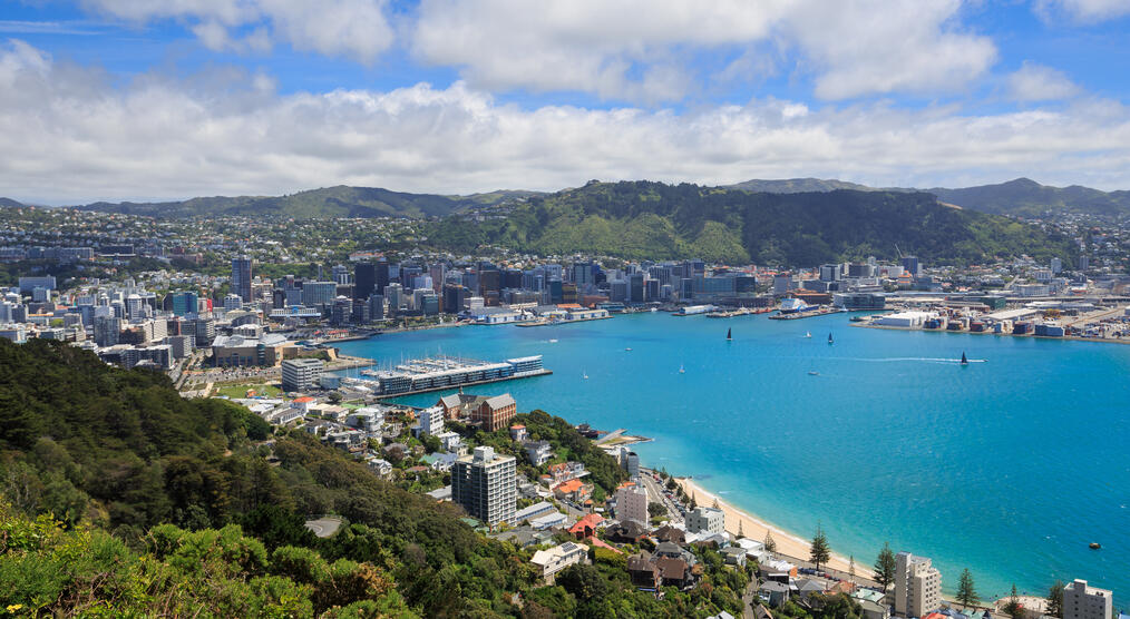 Blick auf Wellington