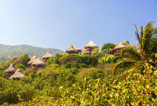 Dschungel im Tayrona Nationalpark