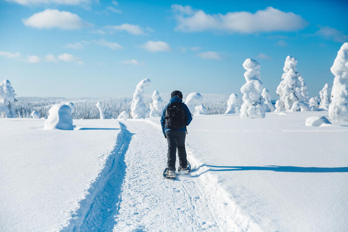 Schneeschuhwanderung