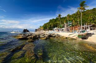 Apo Island