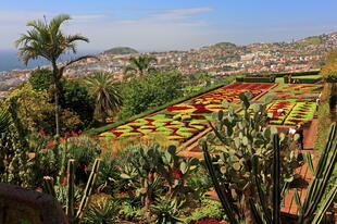 Botanischer Garten in Funchal