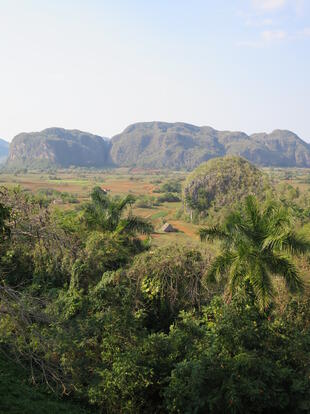 Die Karstlandschaft von Vinales