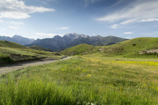 Landschaft im Ferganatal