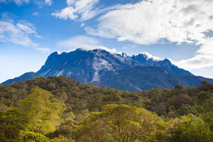 Mt. Kinabalu