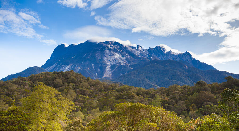 Mt. Kinabalu