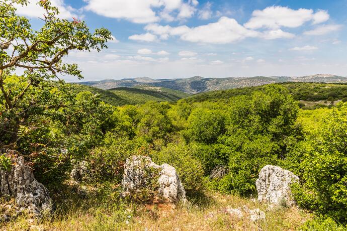 Ajloun Reservat