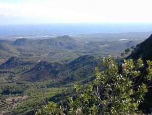 Ausblick ins Gebirge