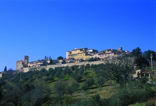 Montefalco 