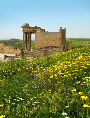 Dougga