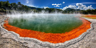 Schwefelquelle in Rotorua 