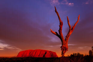 Uluru / Ayers Rock bei Sonnenuntergang 