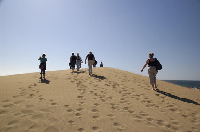 Dünenfeld Maspalomas