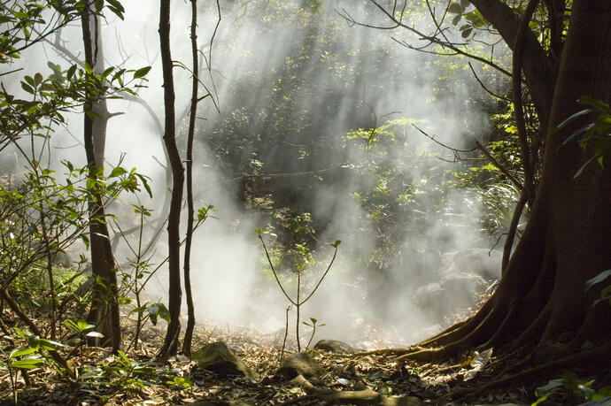 Fumarole in Rincon de la Vieja