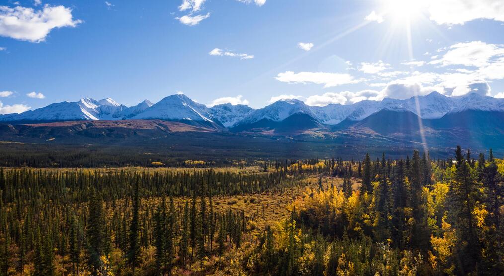 Kluane Mountain Range 