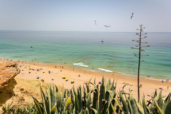 Praia da Luz