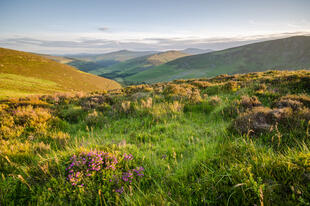 Wicklow Mountains