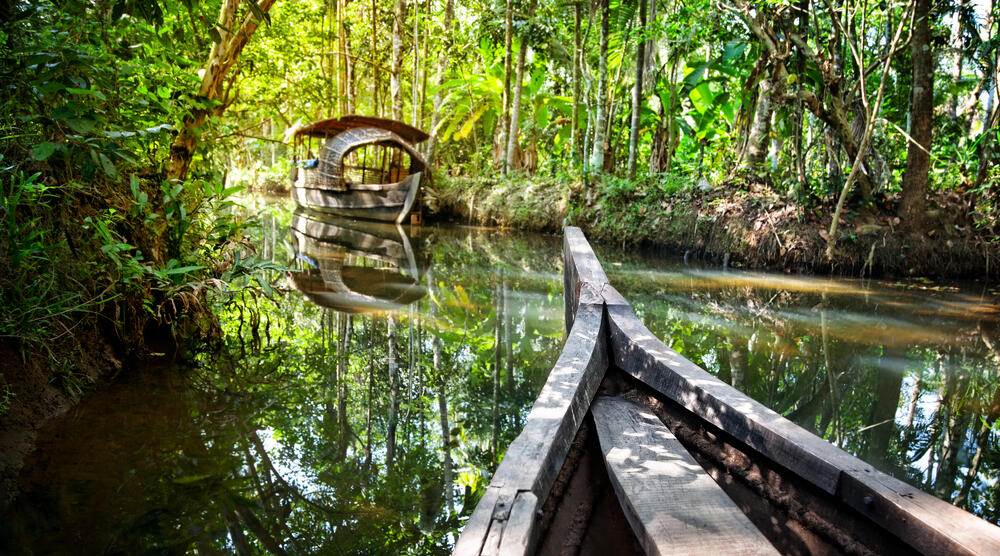 Boot in Kochi