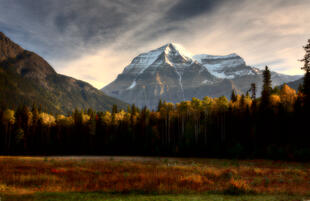 Mount Robson 