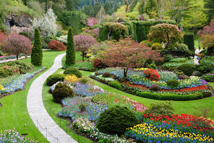 Butchart Gardens 