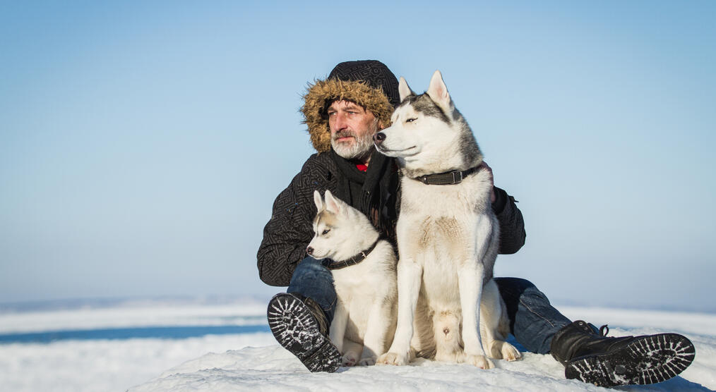 Mann mit Husky 