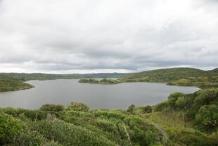 S'Albufera Naturschutzpark