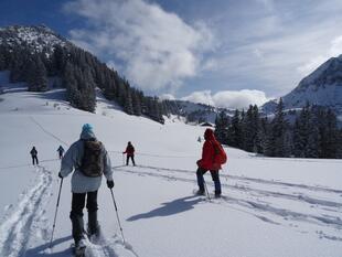 Schneeschuhwanderung