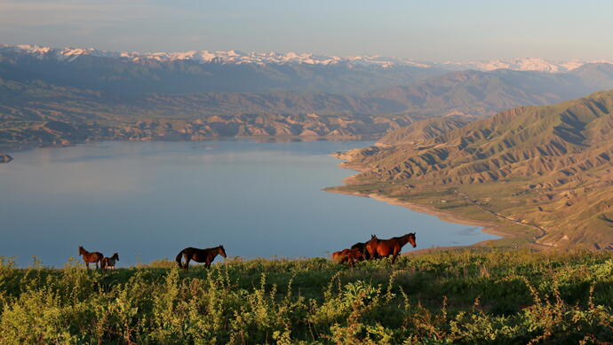 Toktogul See