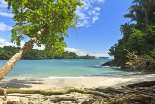 Strand Manuel Antonio 