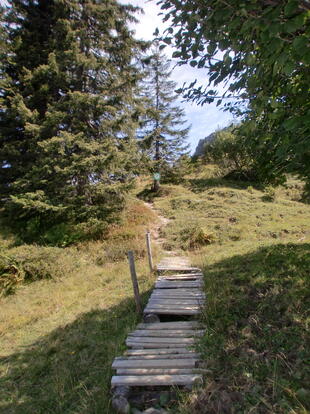 Wanderweg durch eine abwechslungsreiche Landschaft