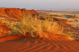 Namib Wüste