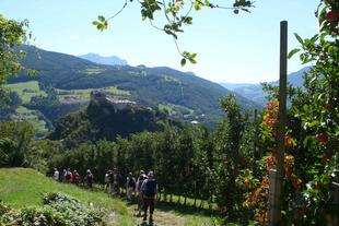 Wanderung entlang der Weinreben