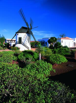 Windmühle in El Molino de Antigua