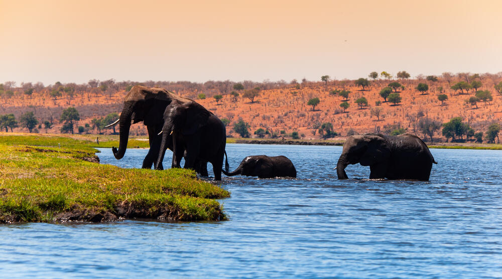 Botswana Reisen