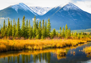 Landschaft im Jasper National Park