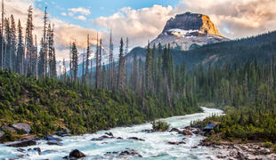 Yoho National Park 