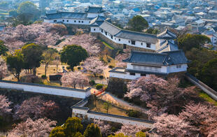 Burg Himeji von oben