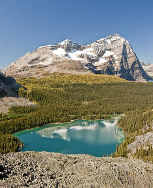 Lake O'Hara 