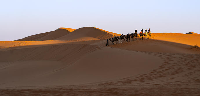 Eine Gruppe in der Wüste während einer Marokko Gruppenreise