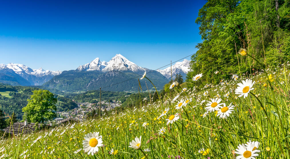 Urlaub im Bayerischen Wald