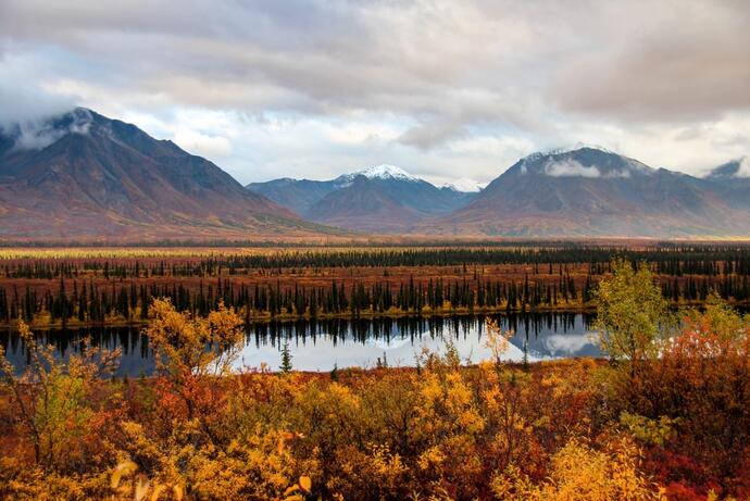 Denali-Nationalpark