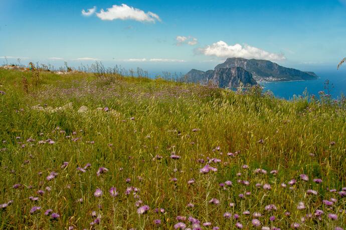 Natur Nähe Sorrent 