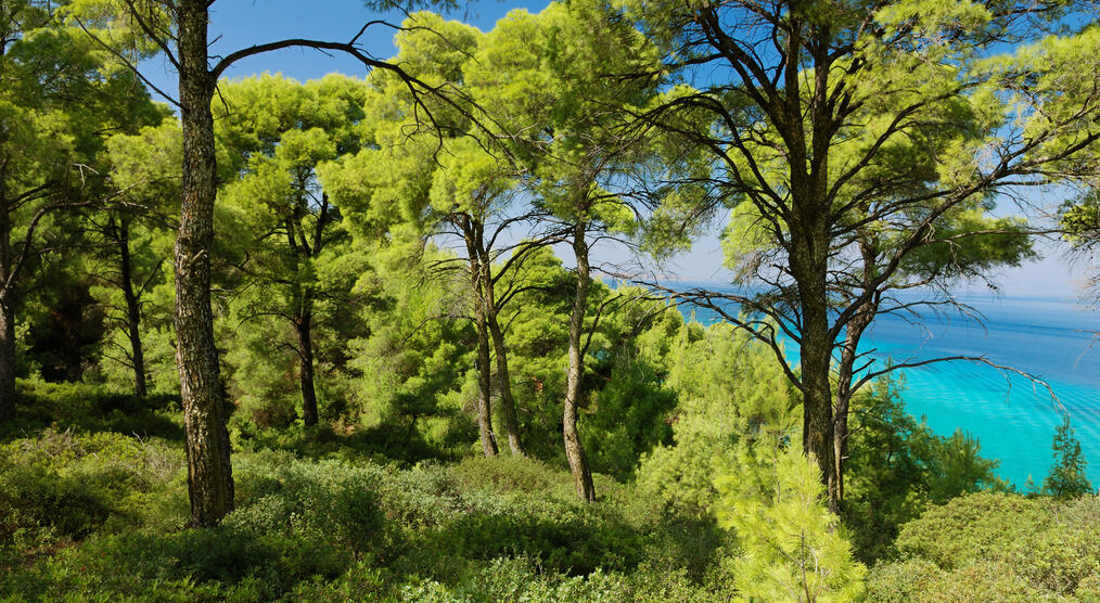 Sardinien Biderosa