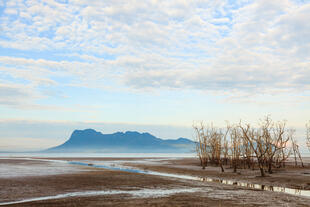 Bako National Park bei Ebbe 