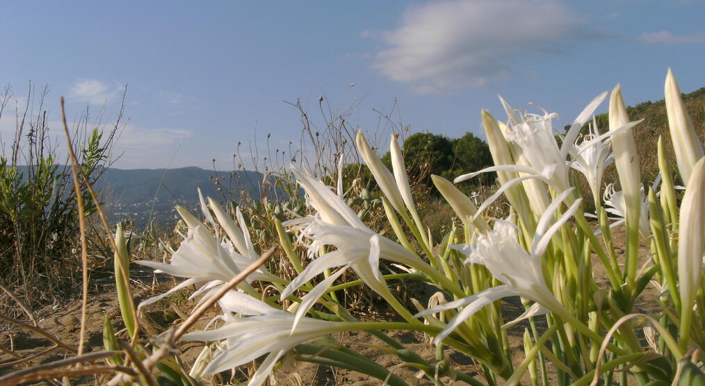 Cilento_Nationalpark