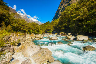 Landschaft im Fiordland National Park 