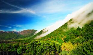 Nationalpark Caldera de Taburiente